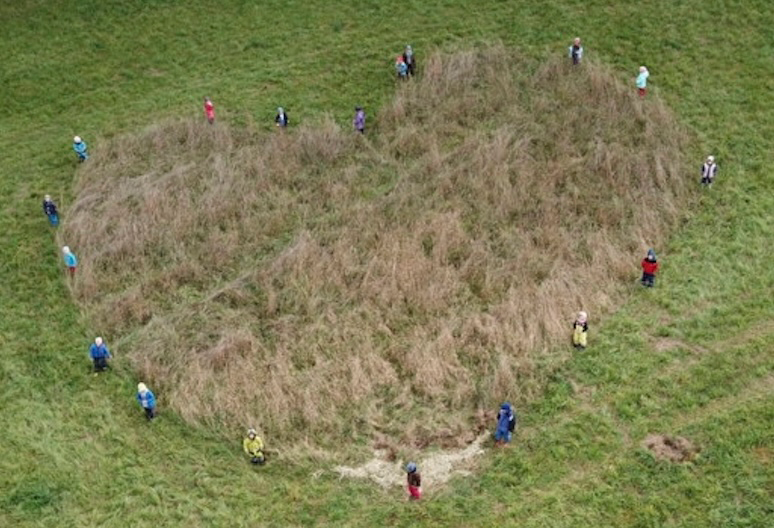 herz-klein.jpg